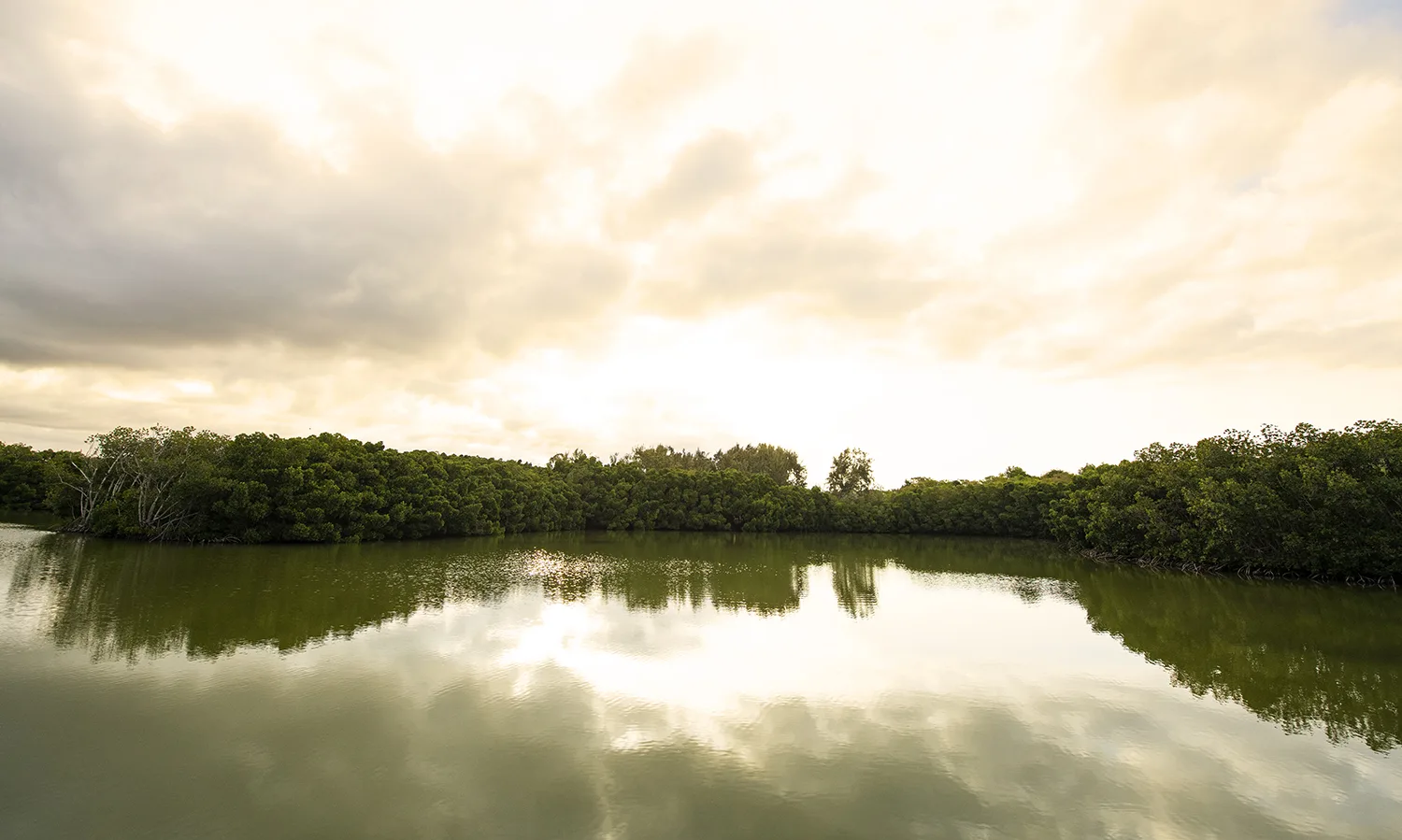 Land Development 3 maison_rouillard_paletuviers_development_property_investment_mauritius_north (6)